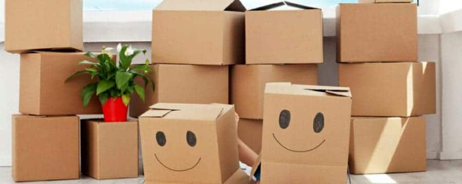 best moving companies in Abu Dhabi